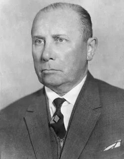Васильевич н