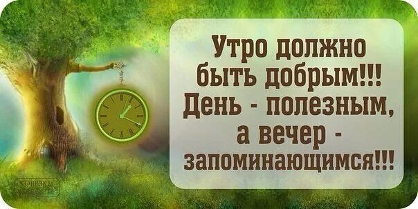 Утро должно быть добрым. Доброе утро должно быть добрым. Утро должно быть добрым день полезным а вечер запоминающимся. Доброе утро надо быть добрее. Утро способный