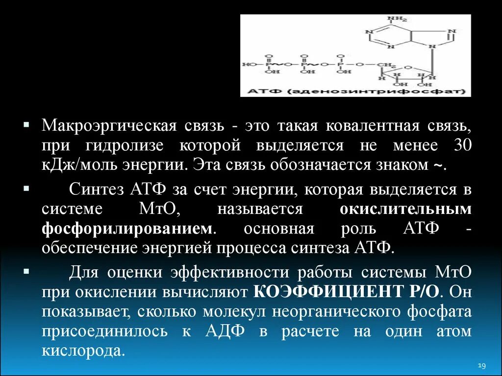 1 макроэргической связи