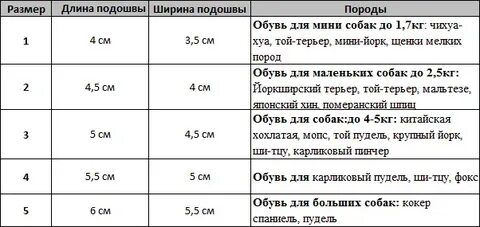 Ботинки для собак размеры