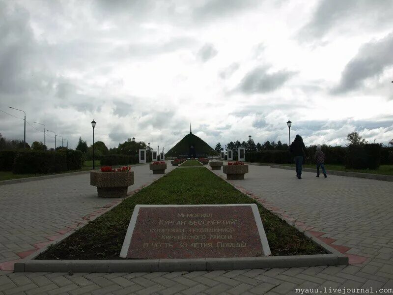 Быковка киреевский