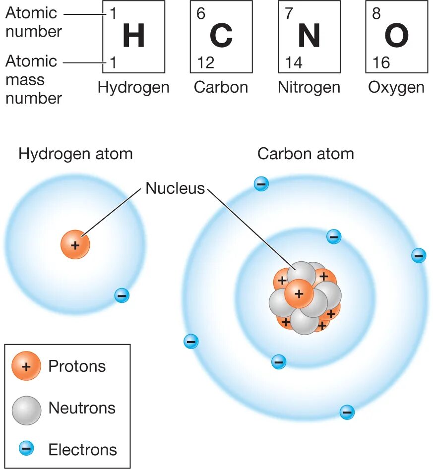 Содержат углерод кислород водород. Hydrogen Atomic Mass. Карбон гидроген Оксиген нитроген. Atomic Oxygen. Atomic number of hydrogen.