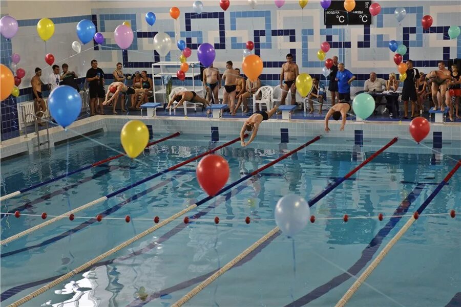 бассейн волна зеленогорск красноярский край. расписание бассейна. бассейн нептун зеленогорск красноярский край расписание. курская область город железногорск нептун бассейн. приглашение на соревнования по плаванию.