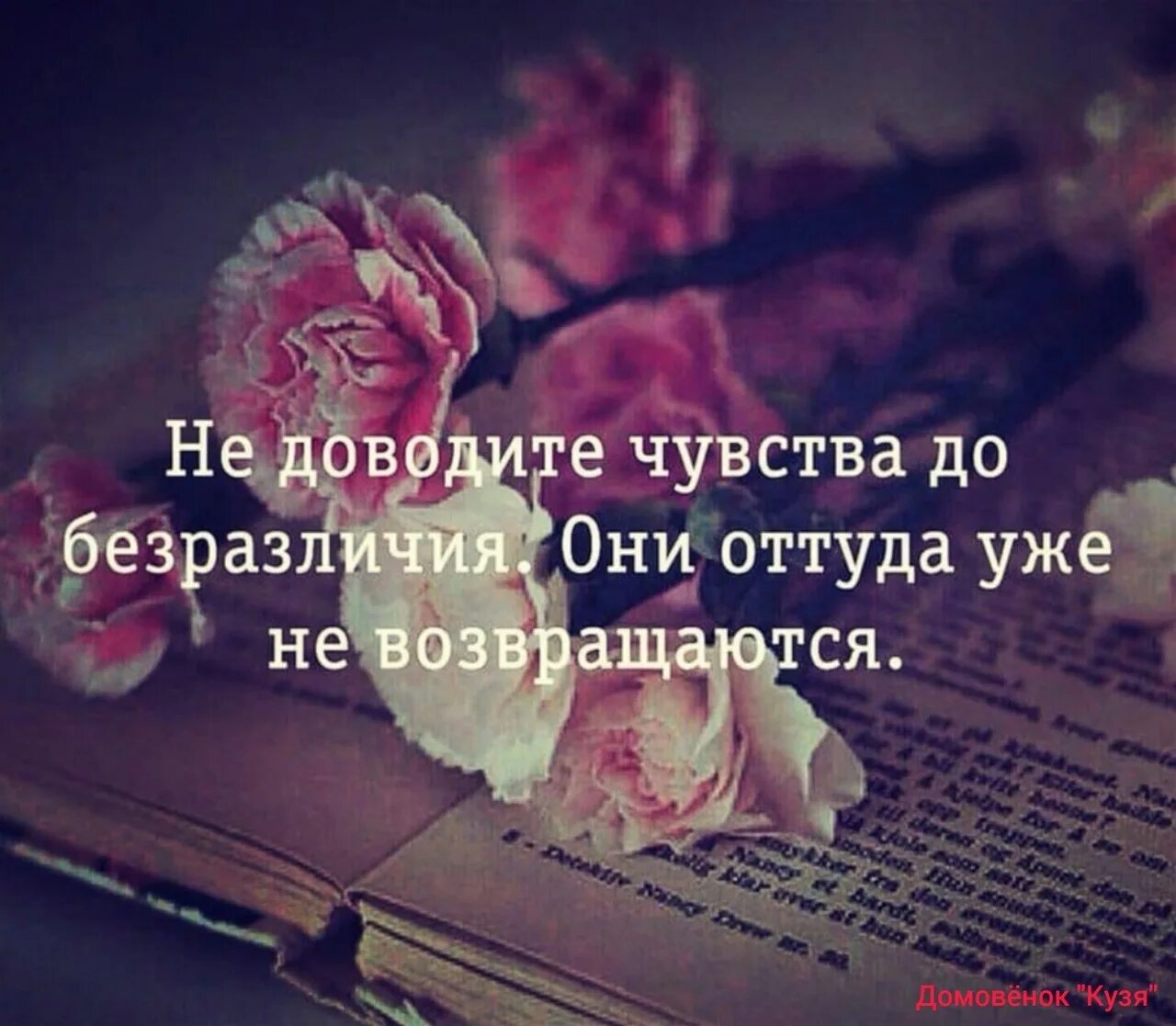 Писатель должен чувствовать возраст каждого. Афоризмы про безразличие к женщине. Афоризмы про равнодушие. Статус о равнодушии людей. Цитаты со смыслом про безразличие.