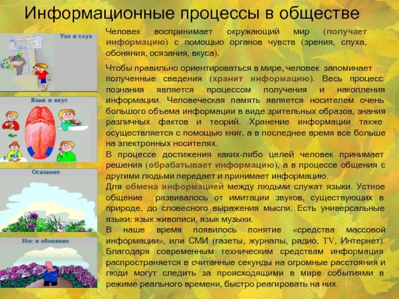 Информационные процессы в обществе. Какую информацию мы получаем с помощью осязания. Человек воспринимает окружающий мир с помощью чувств. Какую информацию мы получаем с помог осязания.