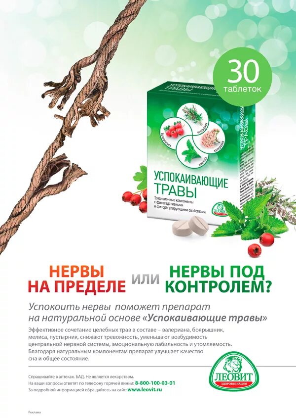 успокоительные сборы трав для нервной системы для детей. чай для успокоения нервной системы. успокаивающие травы для детей. успокаивающие травы для нервной системы взрослого. успокоительные на травяной основе.