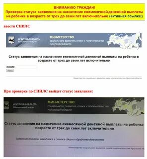 Иркутские выплаты