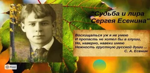 Восхищаться уж я не