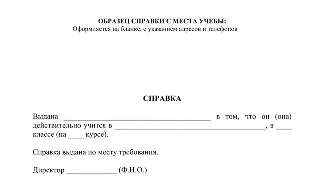 Образец заполненной справки в школу