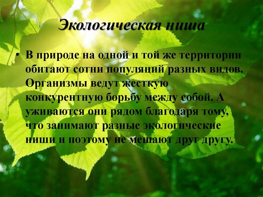 Лабораторная работа изучение экологических ниш разных видов. Вывод экологической ниши. лабораторная работа экологическая ниша организма. экологическая ниша вывод. экологические ниши растений вывод.
