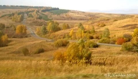С красногорское алтайский край