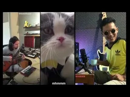 Billing cat