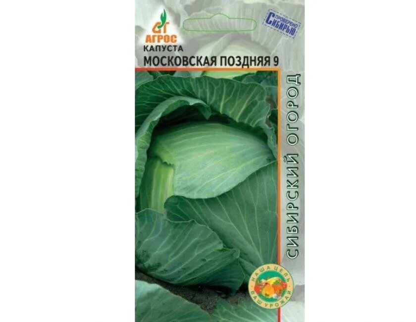 Капуста московская описание сорта отзывы. Московская поздняя 15 капуста Московская поздняя 15 описание сорта. Капуста Московская поздняя. Капуста Московская поздняя 15 описание сорта. Капуста белокочанная Московская поздняя 9.