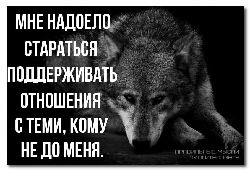 Я ненавижу когда ты так нужен. Цитаты со смыслом. Статусы в картинках. Статус надоело. Статусы со смыслом.