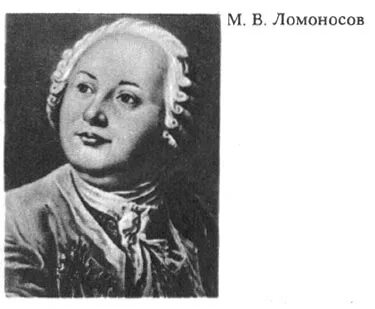 Ломоносов черникова