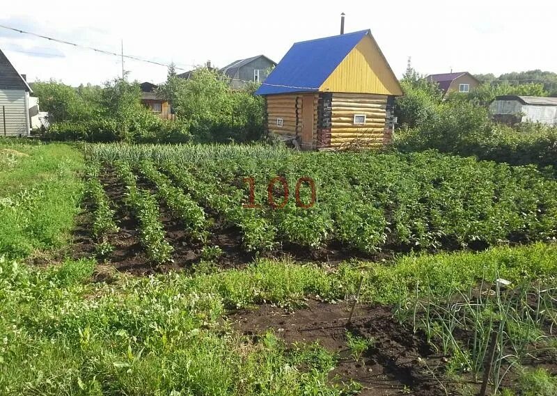 СНТ Рябинушка Авдонский сельсовет. СНТ Рябинушка Уфа Авдонский сельсовет. СНТ Рябинушка Уфимский район. Снт рябинушка купить