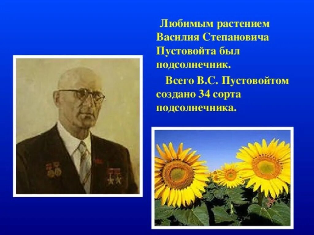 Труженики краснодарского края и их достижения. Пустовойт селекционер Кубани. Труженики полей Кубани Пустовойт.