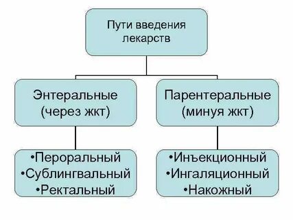 Энтеральный путь введения лекарств