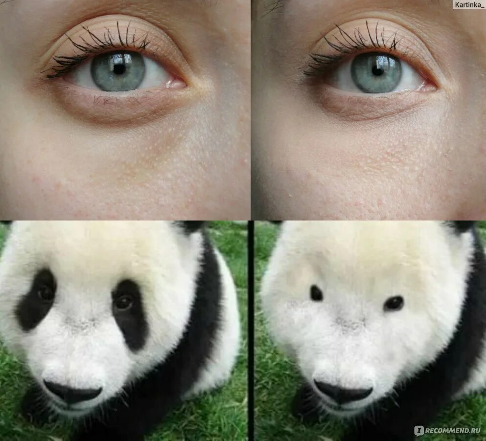 Панда без кругов. Панда без черных кругов. Панда без черных пятен вокруг глаз. Панда круги под глазами. Макияж глаза панды.