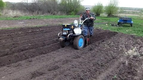 Видео посадка мотоблоком