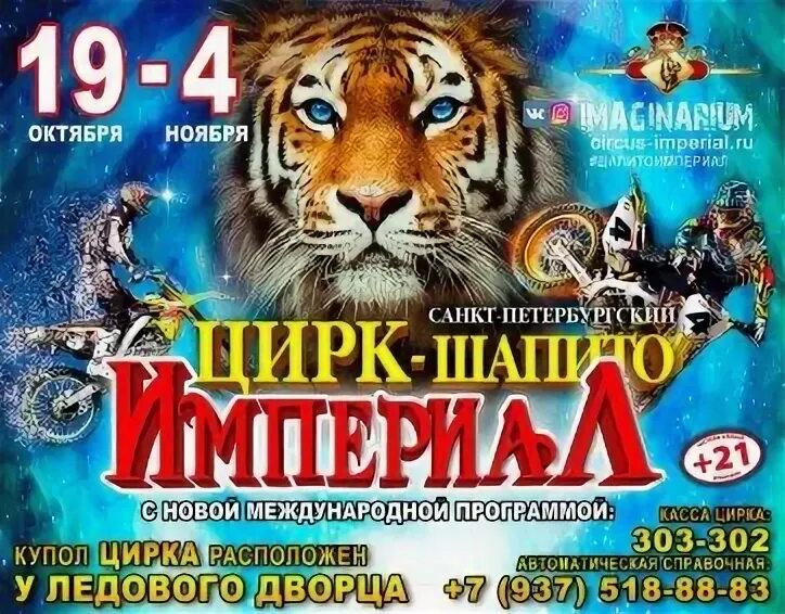 Цирк саранск