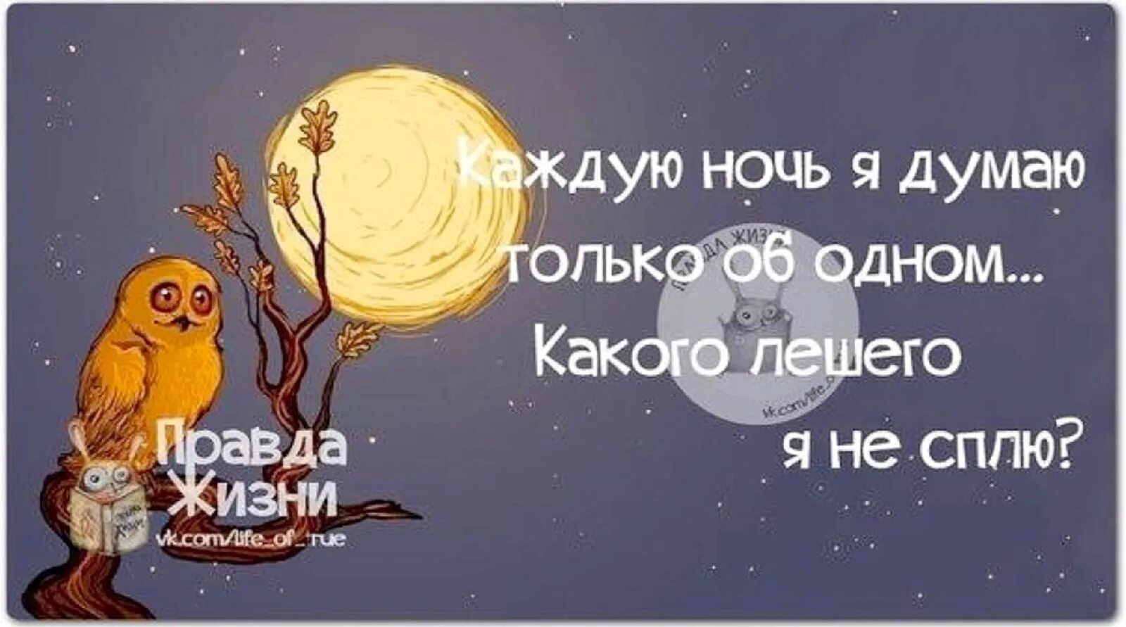 Это ночь не дает нам спать. Смешные высказывания про ночь. Цитаты про ночь смешные. Мудрые высказывания на ночь. Статусы про ночь.