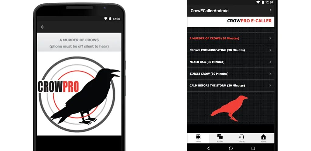 Crow не работает. Crow не работает