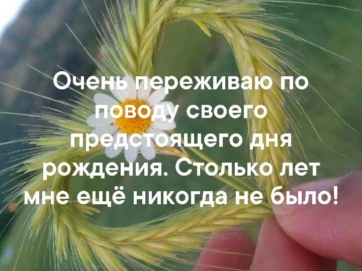 Сколько надо столько и будет. Столько лет мне еще никогда. Очень переживаю по поводу своего. Открытка столько лет мне еще никогда не было. Очень переживаю по поводу предстоящего дня рождения.