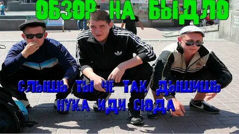 Почему быдло