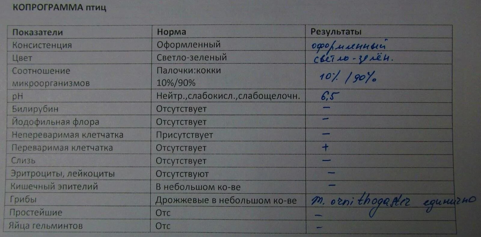 Норма анализа кала копрограмма. Исследование кала копрограмма. копрограмма кала показатели норма. норма копрологии кала у детей. копрограмма норма у взрослых таблица.