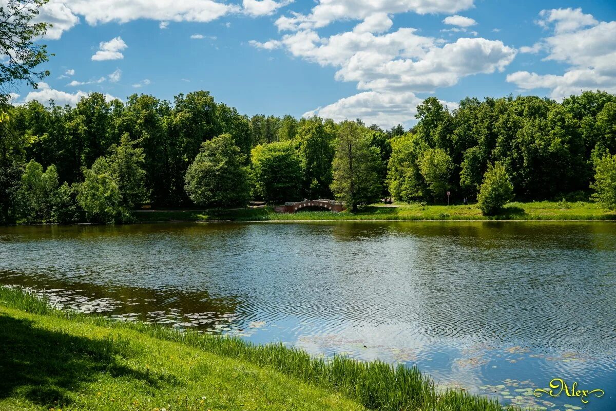 Кузьминский лесопарк. Парк Кузьминки лето. Кузьминский парк Москва. Лесопарк Кузьминки. Парк кузьминки сайт