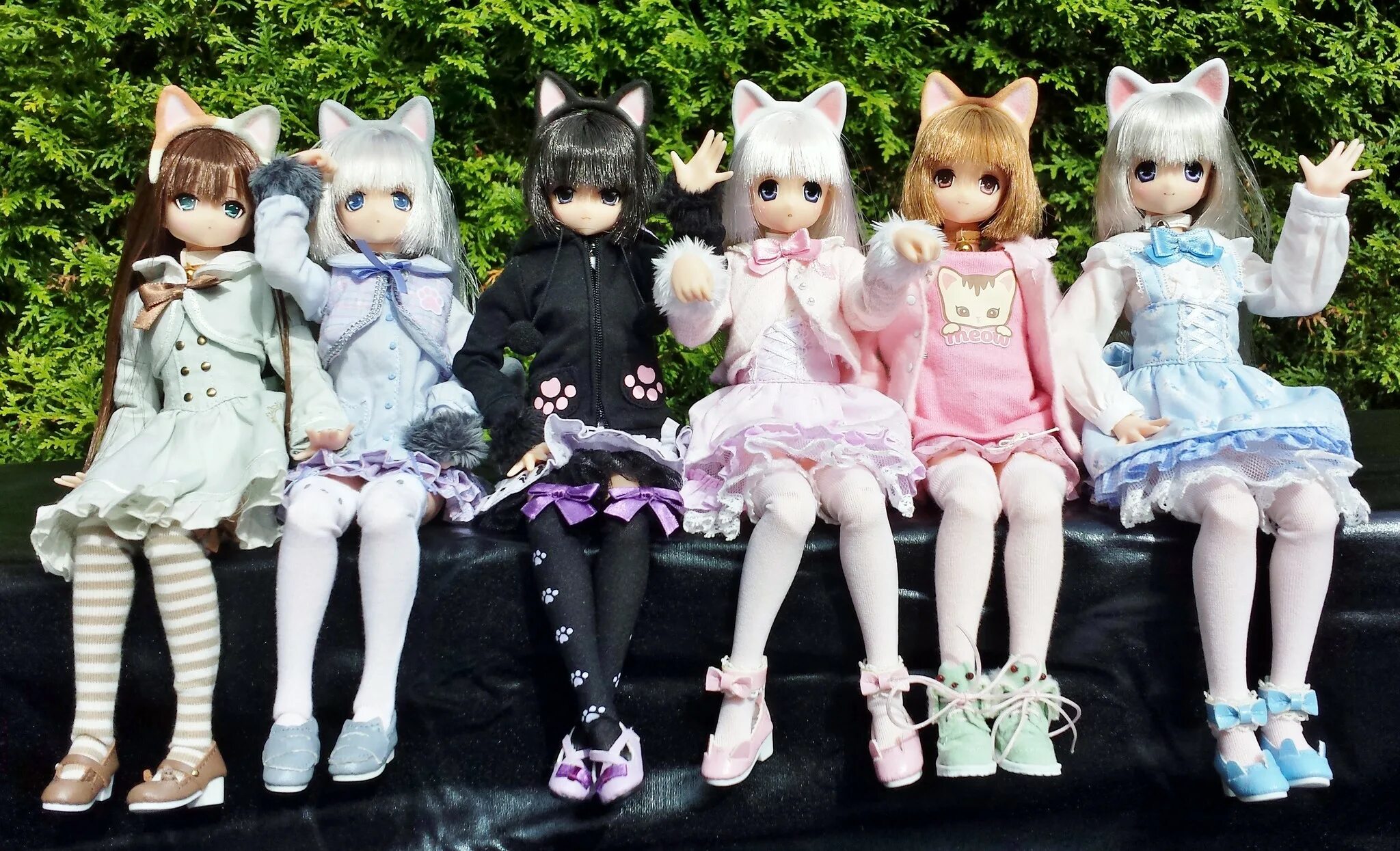 Куклы Azone Neko. Куклы азон кошки. Куклы кошки играть