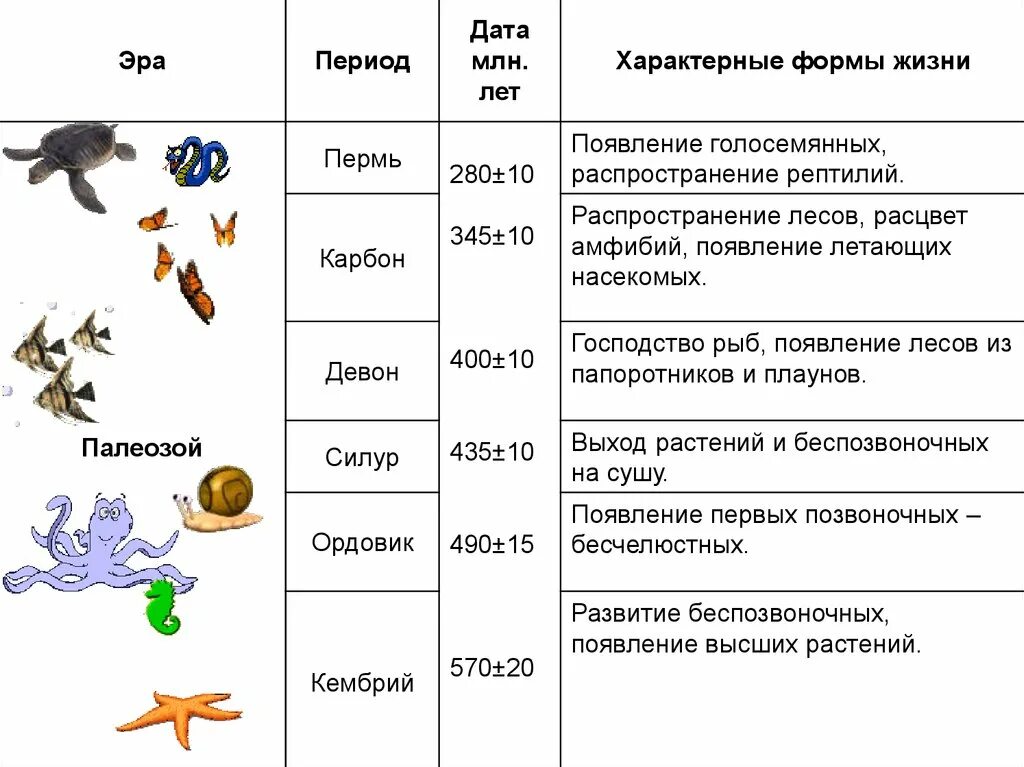 Схема этапов развития жизни. Таблица по биологии Геохронологическая таблица. Начальные этапы развития жизни схема. Таблица периодов биология 9 класс. Последовательность появления групп организмов