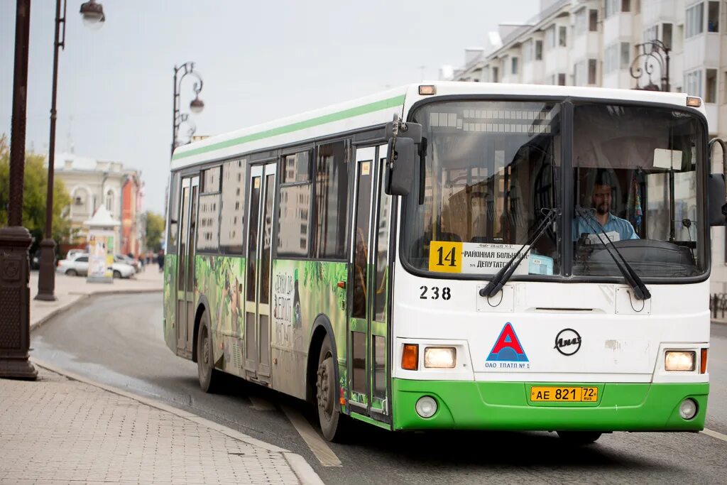 Электробус тюмень. Новые тюменские автобусы. 36 автобус тюмень. Живой автобус. Марки автобусов.