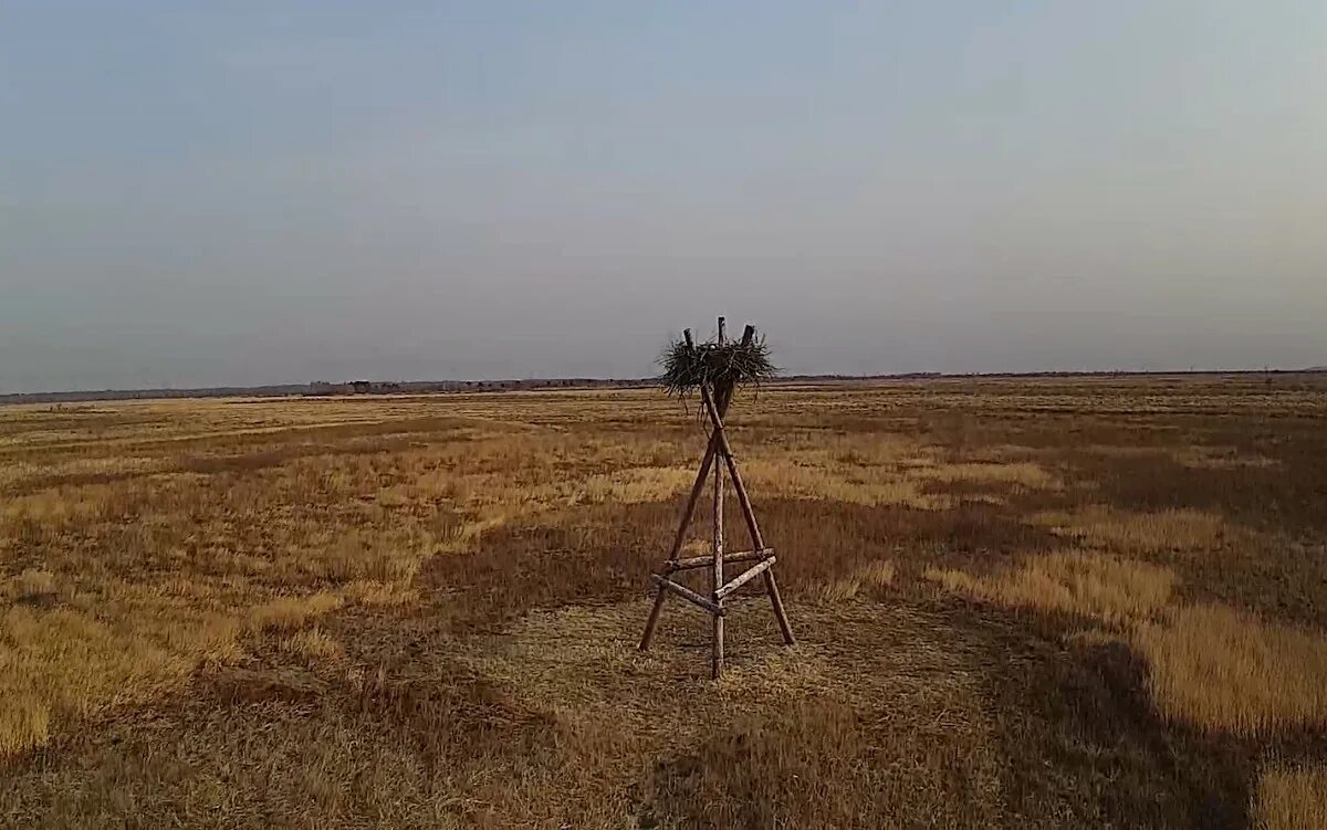 Березовский заказник. Заказник березовский хмао. Заказник березовский хмао. Заказник березовский шарыповский район. Березовский заказник.