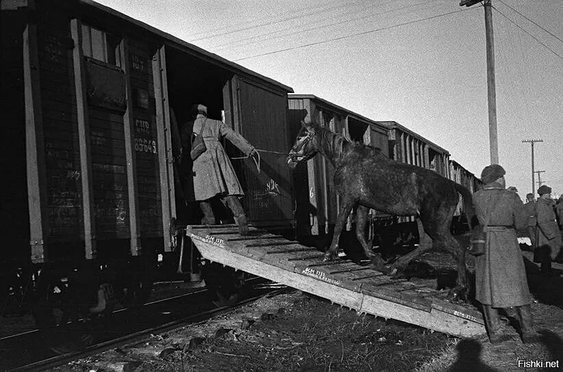 Поезд в годы великой отечественной войны. Вагон Теплушка Великой Отечественной войны. Теплушка вагон 1942 год. Вагон — Теплушка в годы Великой Отечественной войны. Железнодорожный эшелон вагон Теплушка.