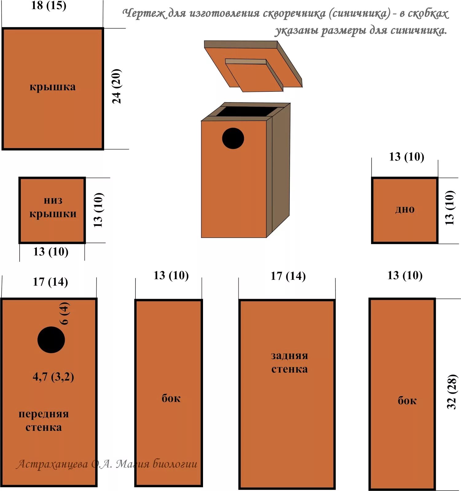 Какой диаметр отверстия в скворечнике. Чертёж синичника скворечника с размерами. Скворечник "синичник". Чертёж скворечника с размерами из дерева для Скворцов. Габариты скворечника сеничник.