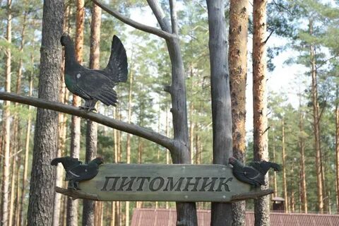 Форум пущу