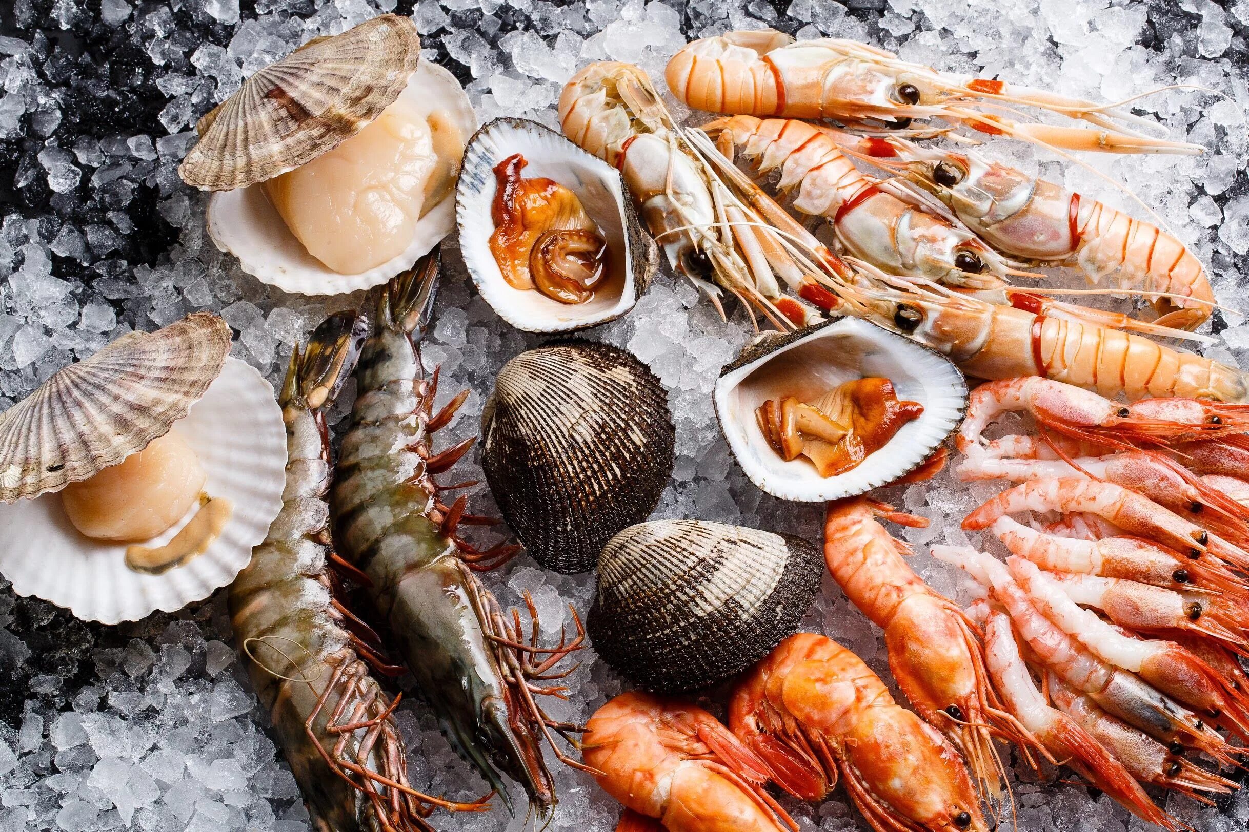 Отзывы морские деликатесы. Морские продукты. Отзывы морские деликатесы. Рыба и морепродукты. Морские деликатесы владивосток.