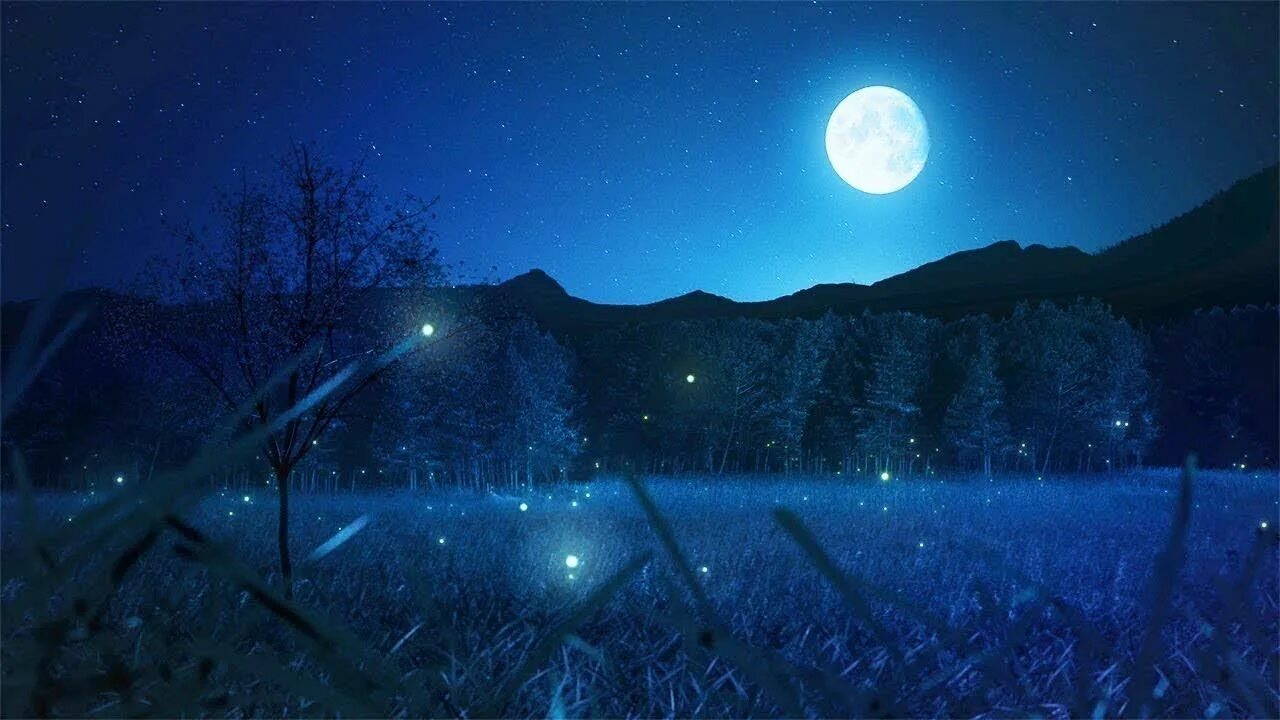 Красивая ночь. Музыкальный пейзаж. Красивый ночной пейзаж. Природа ночь музыка. Рояль в лесу арты.