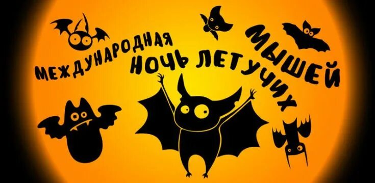 День признательности летучим мышам. Международная ночь летучих мышей 2021. День летучих мышей. Международная ночь летучих мышей 20 сентября. Летучая мышь ночью.