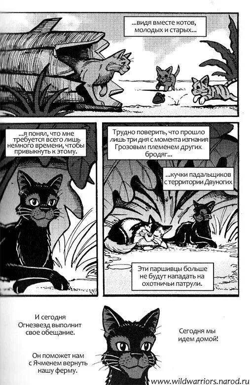 Коты воители прыгуша. Сердце воителя читать. Сердце воителя читать. Сердце воителя читать. Коты воители манга судьба горелого.