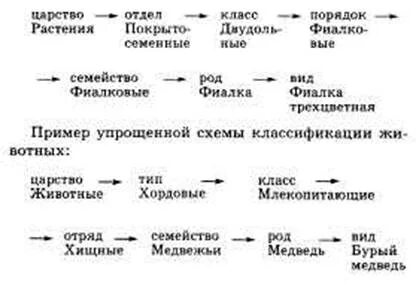 Биология 5-7 класс ВКонтакте