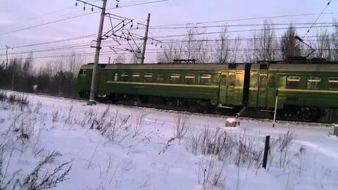 Фрязево петушки