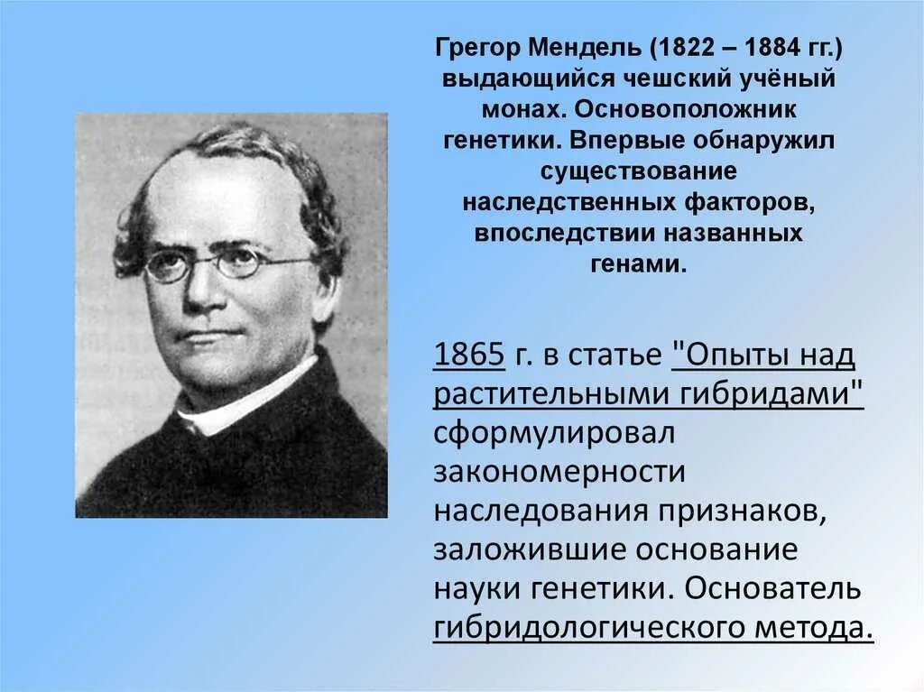 Мендель основоположник генетики. Грег мендел наследственность. Грегор мендель генетика. Основоположник генетики. Грегор мендель генетика.
