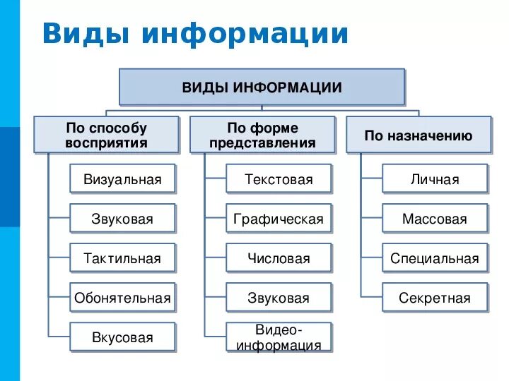 Виды информации по способу восприятия и по способу представления. Информация виды и свойства информации Информатика. Виды информации в информатике 10 класс. Какие есть виды информации