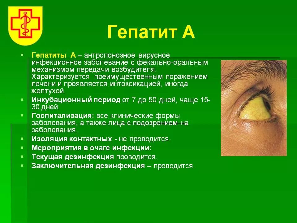 Гепатит передается наследственно. Вирусные гепатиты. gepattit aa. вирус гепатита в.
