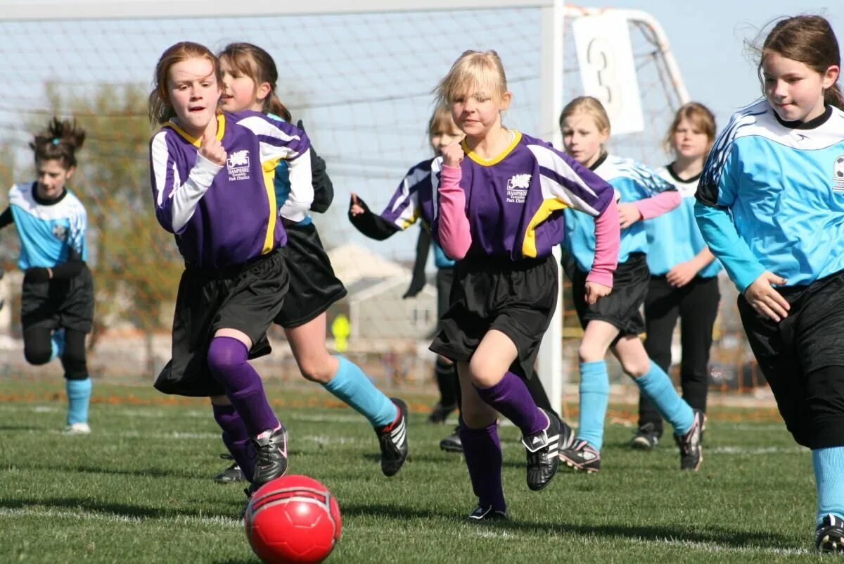 Спортивные секции. Большая семерка спортзал. Спортивные кружки для девушек. Химки женская баскетбольная. Спортивные секции для девушек.