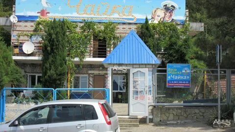 Широкая балка чайка