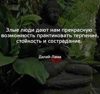 Не жить дзен